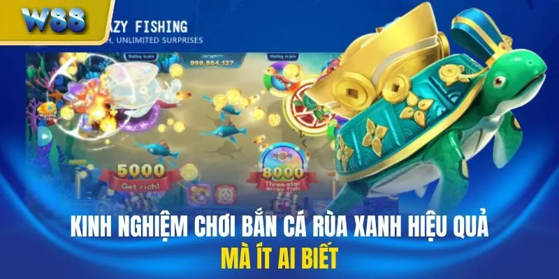 Kinh nghiệm chơi Bắn Cá Rùa Xanh hiệu quả mà ít ai biết